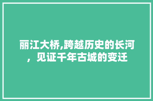 丽江大桥,跨越历史的长河，见证千年古城的变迁  第1张