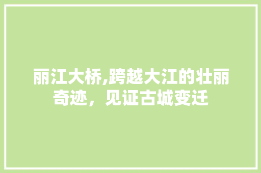 丽江大桥,跨越大江的壮丽奇迹，见证古城变迁  第1张