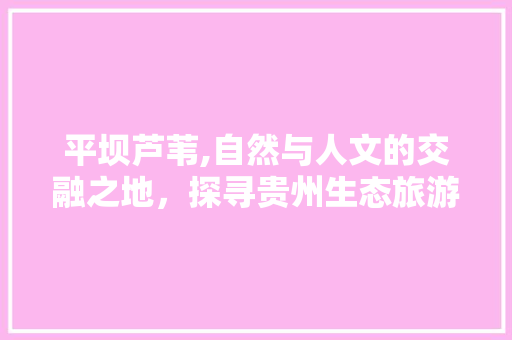 平坝芦苇,自然与人文的交融之地，探寻贵州生态旅游的瑰宝