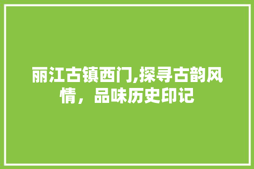 丽江古镇西门,探寻古韵风情，品味历史印记