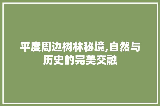 平度周边树林秘境,自然与历史的完美交融