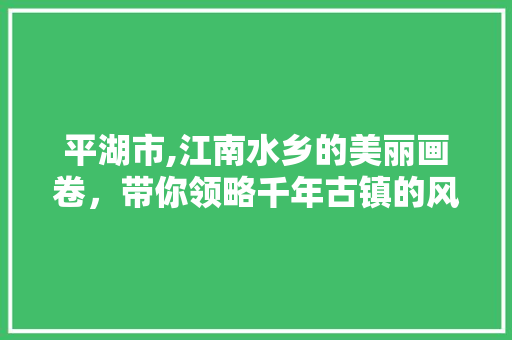 平湖市,江南水乡的美丽画卷，带你领略千年古镇的风情