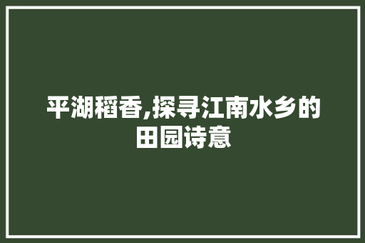 平湖稻香,探寻江南水乡的田园诗意