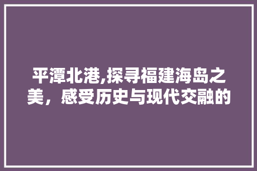 平潭北港,探寻福建海岛之美，感受历史与现代交融的韵味