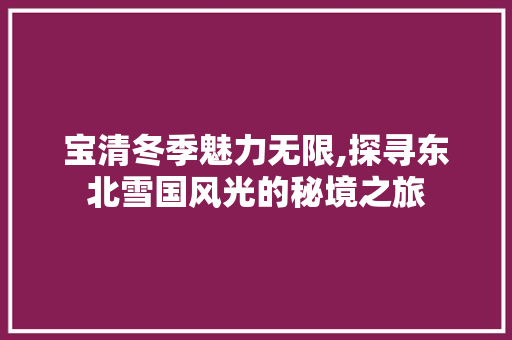 宝清冬季魅力无限,探寻东北雪国风光的秘境之旅