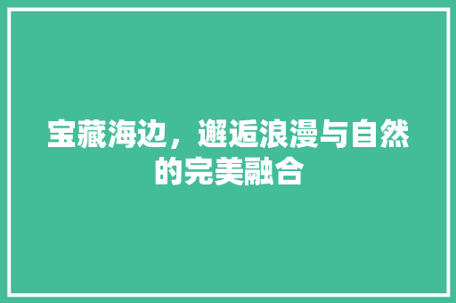 宝藏海边，邂逅浪漫与自然的完美融合