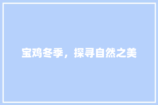 宝鸡冬季，探寻自然之美