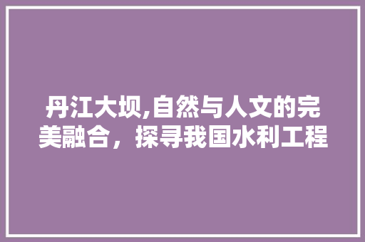 丹江大坝,自然与人文的完美融合，探寻我国水利工程的奇迹