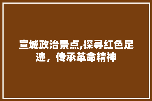 宣城政治景点,探寻红色足迹，传承革命精神