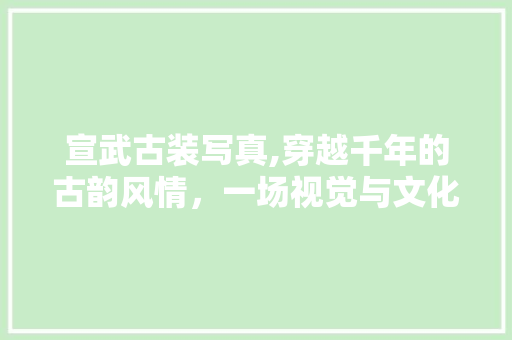 宣武古装写真,穿越千年的古韵风情，一场视觉与文化的盛宴