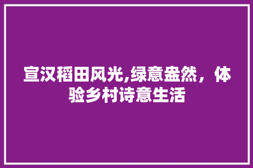 宣汉稻田风光,绿意盎然，体验乡村诗意生活