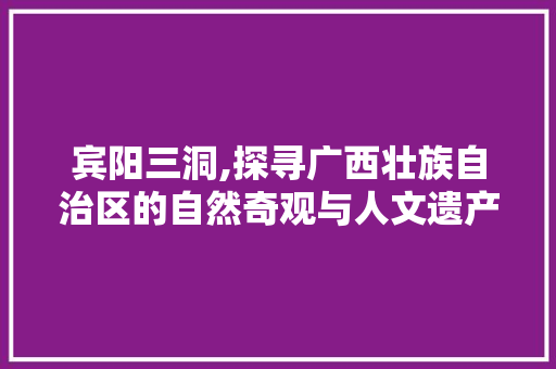 宾阳三洞,探寻广西壮族自治区的自然奇观与人文遗产