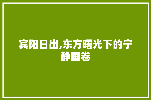 宾阳日出,东方曙光下的宁静画卷