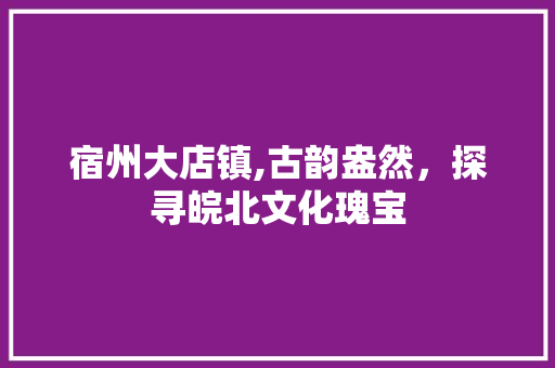 宿州大店镇,古韵盎然，探寻皖北文化瑰宝