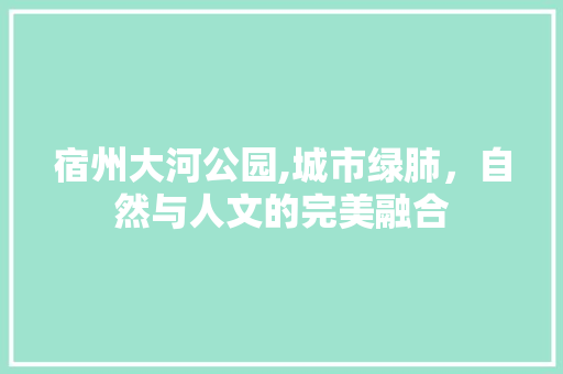 宿州大河公园,城市绿肺，自然与人文的完美融合