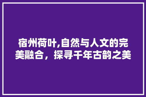 宿州荷叶,自然与人文的完美融合，探寻千年古韵之美