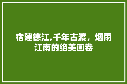 宿建德江,千年古渡，烟雨江南的绝美画卷