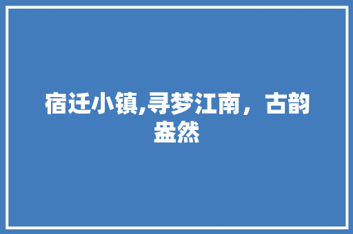 宿迁小镇,寻梦江南，古韵盎然