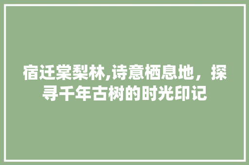 宿迁棠梨林,诗意栖息地，探寻千年古树的时光印记