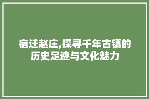 宿迁赵庄,探寻千年古镇的历史足迹与文化魅力