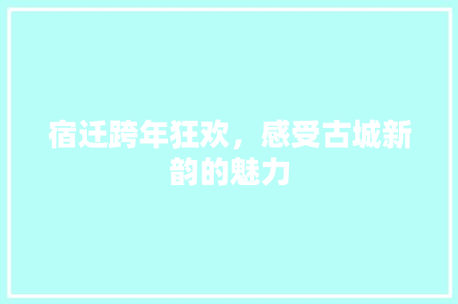 宿迁跨年狂欢，感受古城新韵的魅力