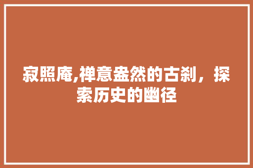 寂照庵,禅意盎然的古刹，探索历史的幽径