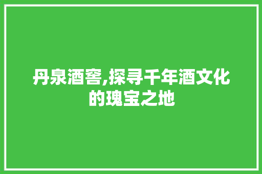 丹泉酒窖,探寻千年酒文化的瑰宝之地