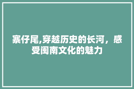 寨仔尾,穿越历史的长河，感受闽南文化的魅力