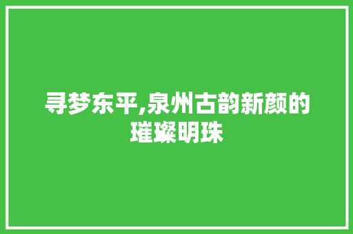 寻梦东平,泉州古韵新颜的璀璨明珠