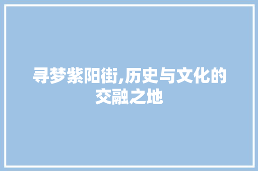 寻梦紫阳街,历史与文化的交融之地