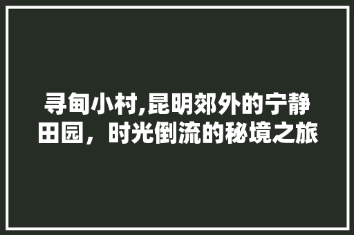 寻甸小村,昆明郊外的宁静田园，时光倒流的秘境之旅