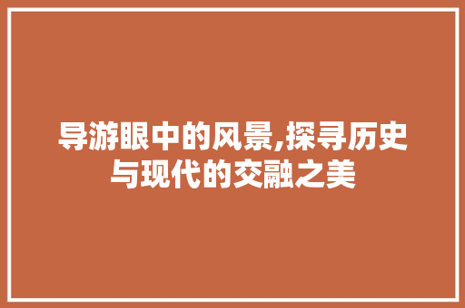 导游眼中的风景,探寻历史与现代的交融之美