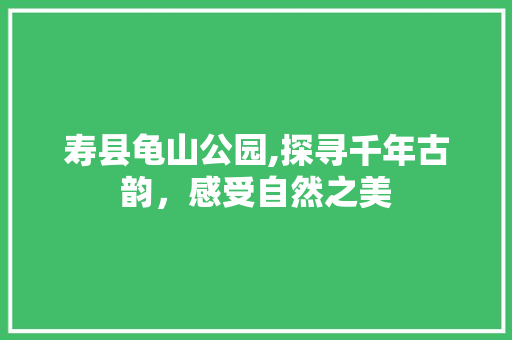 寿县龟山公园,探寻千年古韵，感受自然之美