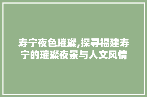 寿宁夜色璀璨,探寻福建寿宁的璀璨夜景与人文风情