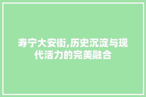 寿宁大安街,历史沉淀与现代活力的完美融合