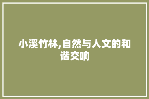 小溪竹林,自然与人文的和谐交响