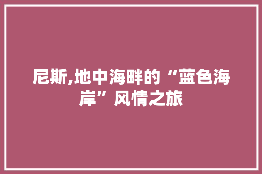 尼斯,地中海畔的“蓝色海岸”风情之旅