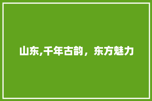 山东,千年古韵，东方魅力