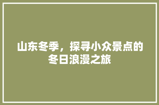 山东冬季，探寻小众景点的冬日浪漫之旅