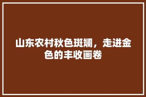 山东农村秋色斑斓，走进金色的丰收画卷