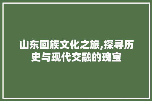 山东回族文化之旅,探寻历史与现代交融的瑰宝