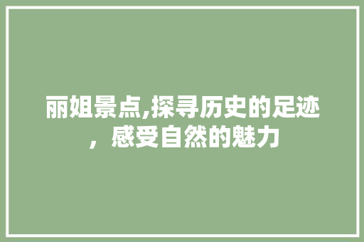 丽姐景点,探寻历史的足迹，感受自然的魅力  第1张