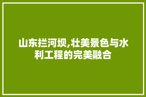 山东拦河坝,壮美景色与水利工程的完美融合