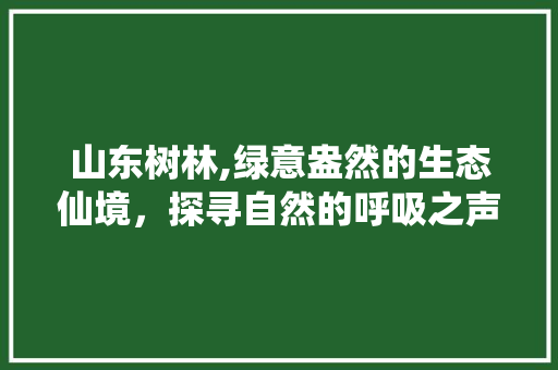 山东树林,绿意盎然的生态仙境，探寻自然的呼吸之声