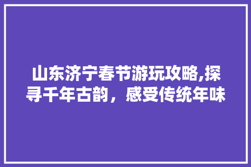 山东济宁春节游玩攻略,探寻千年古韵，感受传统年味