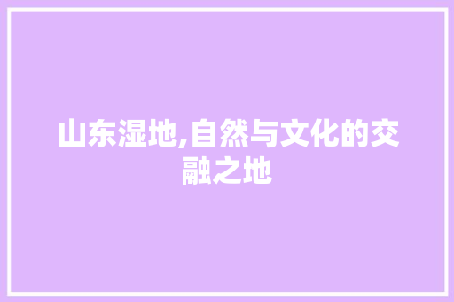 山东湿地,自然与文化的交融之地