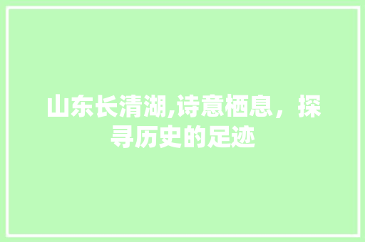 山东长清湖,诗意栖息，探寻历史的足迹