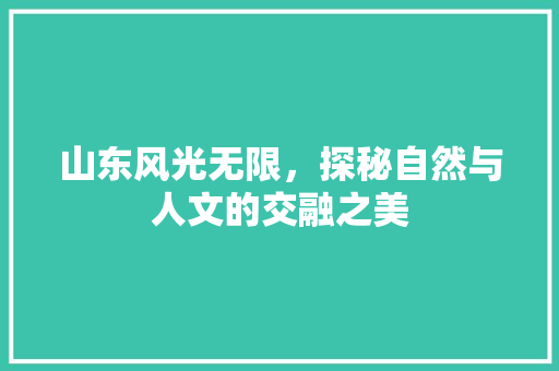 山东风光无限，探秘自然与人文的交融之美