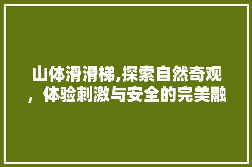 山体滑滑梯,探索自然奇观，体验刺激与安全的完美融合