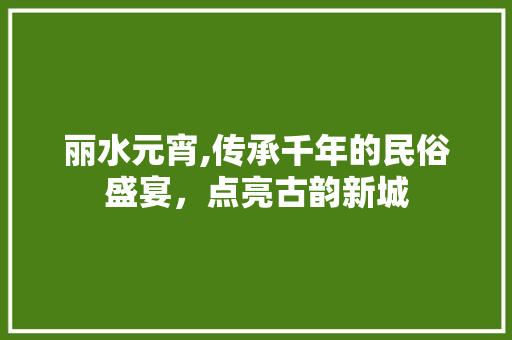 丽水元宵,传承千年的民俗盛宴，点亮古韵新城